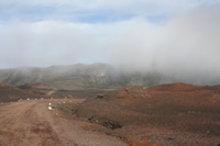 Route - Piton de la Fournaise, la Réunion
